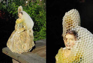 Illustration for article titled An Artist and Her Bees Create Beautiful Honeycomb-Draped Sculptures